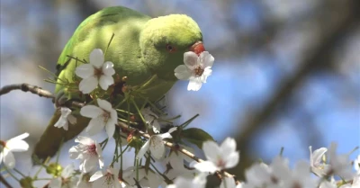 Mart Ekinoksu Geldi Çattı! Gece ve Gündüz Eşitliği Ne Zaman?